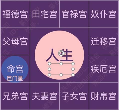 巨門五行|巨門星在命宮